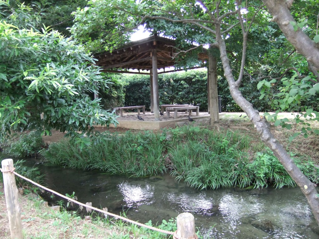 mukoujima01