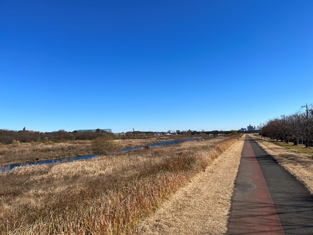 tamagawa09